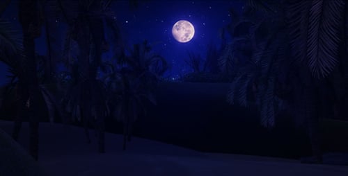 Moon in Forest