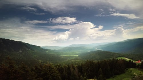 Forest In The Mountains Landscape