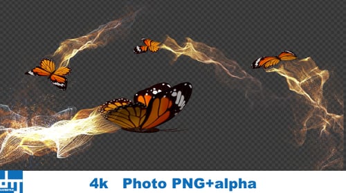 Magical Butterfly with Flowing Golden Particle Effect