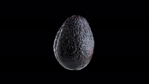 Ripe Black Avocado on Dark Isolated Background
