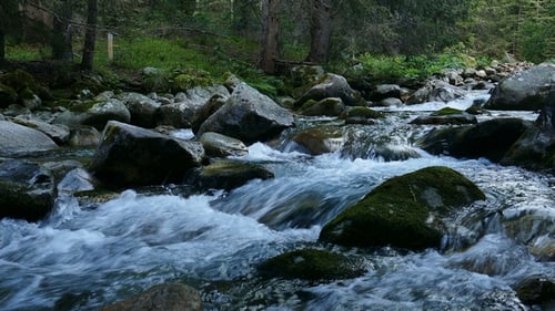 Berg Fluss 2