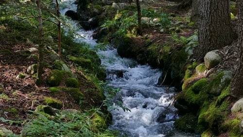 Mountain River 6