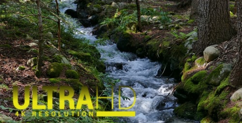 Mountain River 6