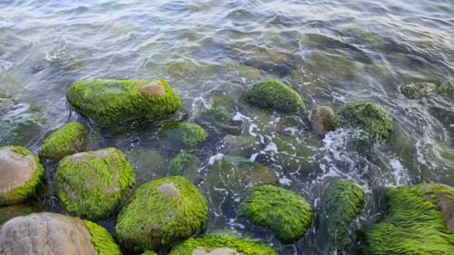 Water Waves Between Stones On The Sea Beach