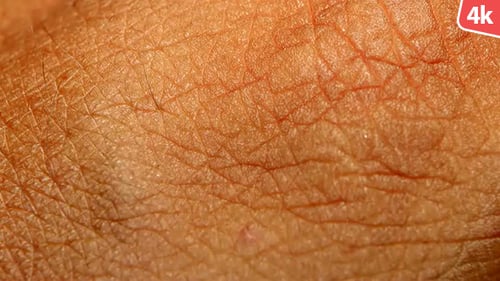 Human Skin 701
