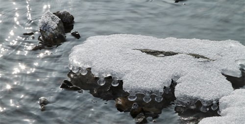 Icicles on the River Shore