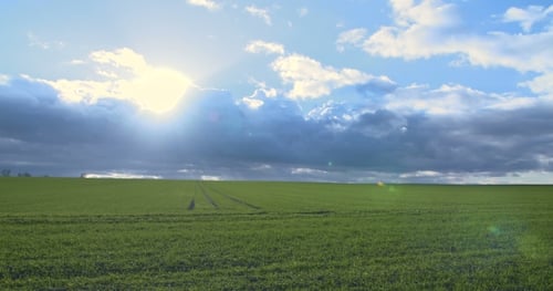 Green Field And Cloudy Sky