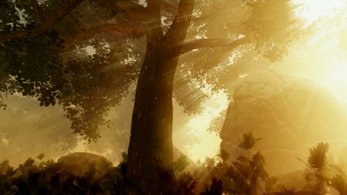 Sunrays Shining Through The Trees