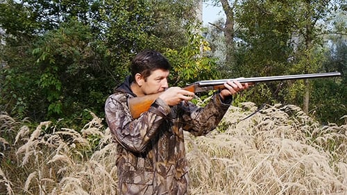 Hunter geht auf das hohe Gras