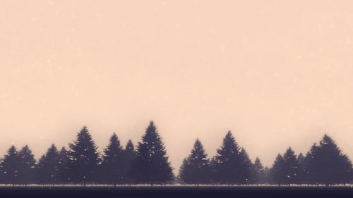 Winter-Kiefernwald