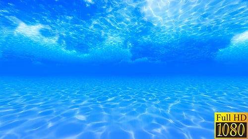 Underwater View