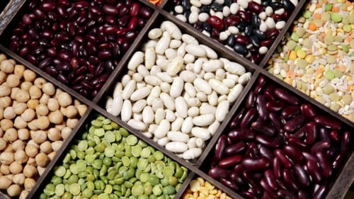 Colorful Assortment of Dried Beans and Lentils