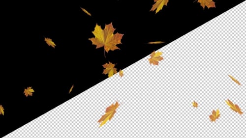 Realistic Autumn Maple Leaves Falling Overlay