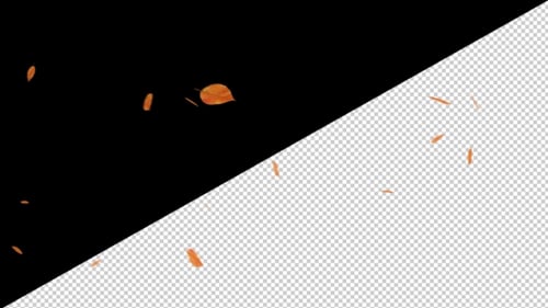 Falling Leaves With Alpha Channel