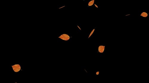 Falling Leaves