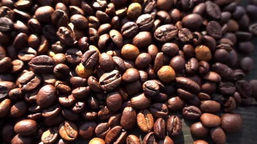 Close Up of Dark Roasted Coffee Beans