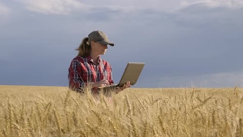 Woman Farmer with Laptop in Wheat Field