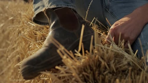 Work Boot Resting on Hay Bale in Sunlight