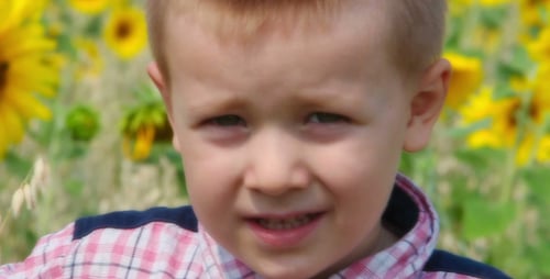 Child Smiles in a Rural Sunflower Field