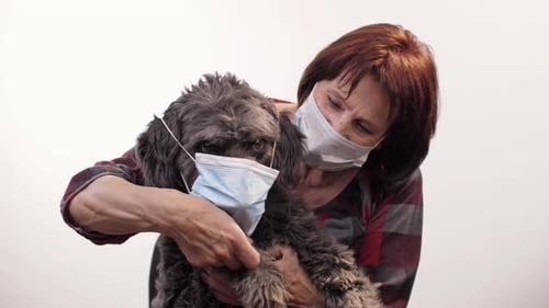 Mistress Puts a Face Mask on a Dog