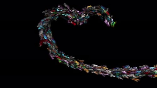 Colorful Butterflies Forming Heart Shape Reveal Transition