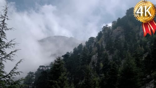 Wolkengebild-Zeitraffer über dem Bergwald