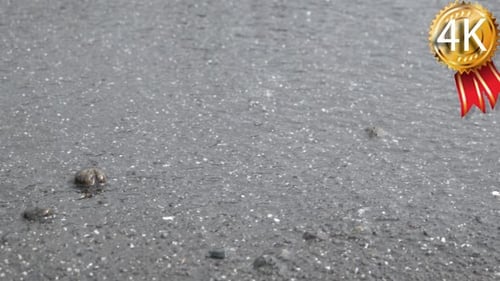 Pebble Beach With Small Pebbles and Sea Surf. the
