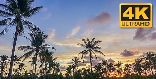 Wunderschöner Sonnenuntergang