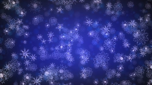 Beautiful Falling Snowflakes Loop on Blue Background