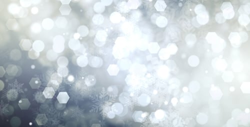 Particles and Flakes