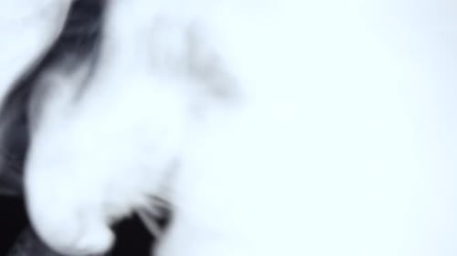 White Smoke Billowing on Black Background