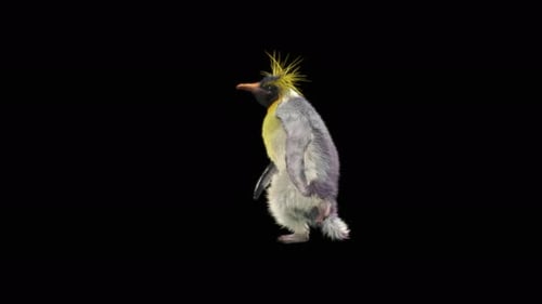Penguin Dancing 4K