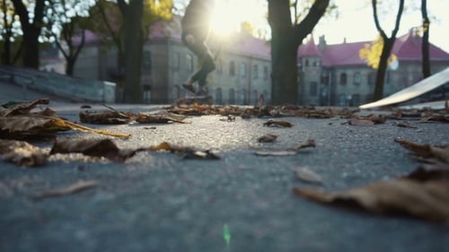 Teen Rides Skateboard over Autumn Leaves at Sunset