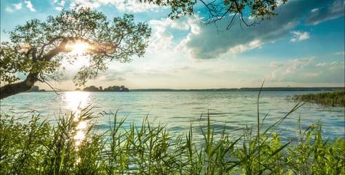 Coast Of Evening Lake