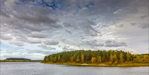 Autumn Forest Near River