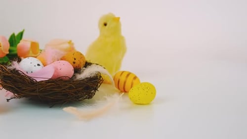 Festive Easter Still Life with Eggs, Chick, and Tulips