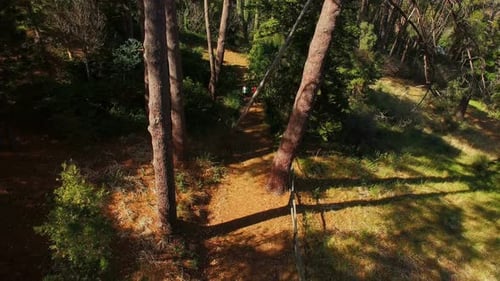 Couple jogging on forest path