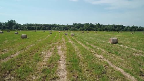 Aerial View of Hay Bales on the Green Field