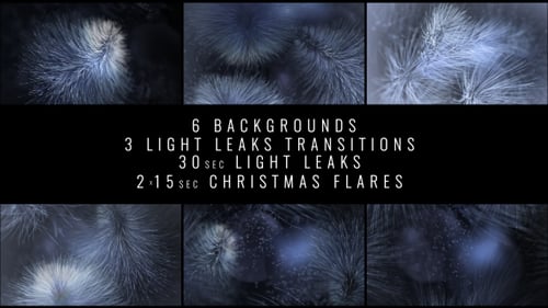 Fluid Winter Themed Particle Backgrounds with Light Leaks