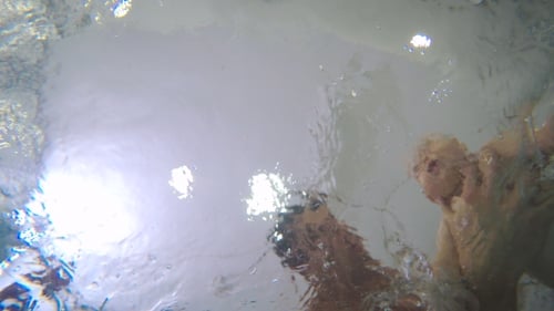 The Man Teach His Son To Swim Under The Water In The Child Pool