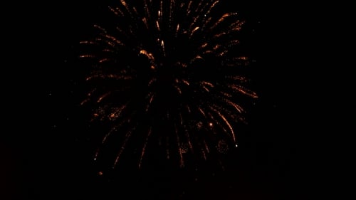 Buntes Feuerwerk am dunklen Nachthimmel.