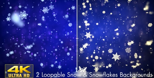 Snow and Snowflakes 3
