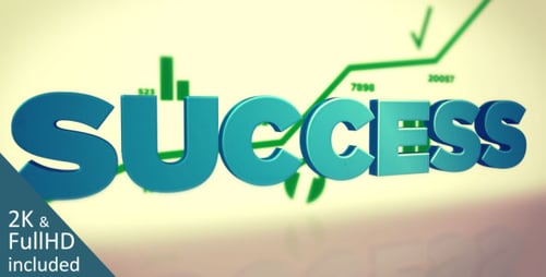 Business Failure and Success with Animated Graphs