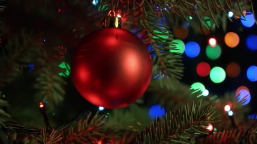 Close Up of Red Ornament on Christmas Tree
