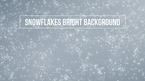 Snowflakes Bright Background