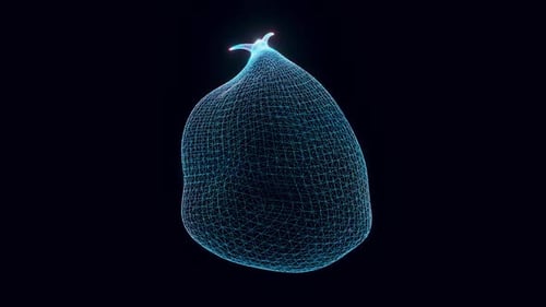 Futuristic Abstract Glowing Wireframe Organic Shape Animation