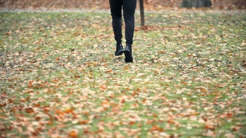 Jogger Running In The Autumn Park