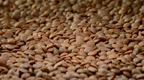 Close Up of Brown Lentils Pile