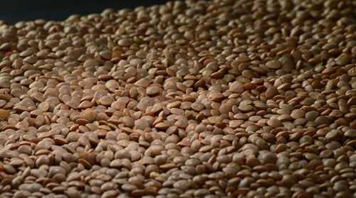 Pile of Brown Lentils Filling Frame