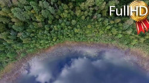 Aerial View on the Shore of a Beautiful Lake